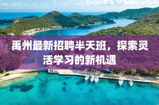 禹州最新招聘半天班，探索灵活学习的新机遇