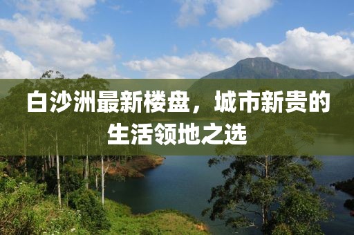 白沙洲最新楼盘，城市新贵的生活领地之选