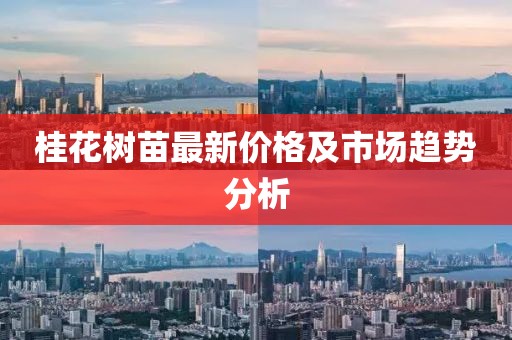 桂花树苗最新价格及市场趋势分析