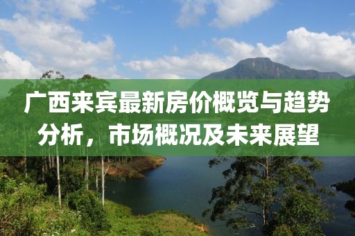 广西来宾最新房价概览与趋势分析，市场概况及未来展望