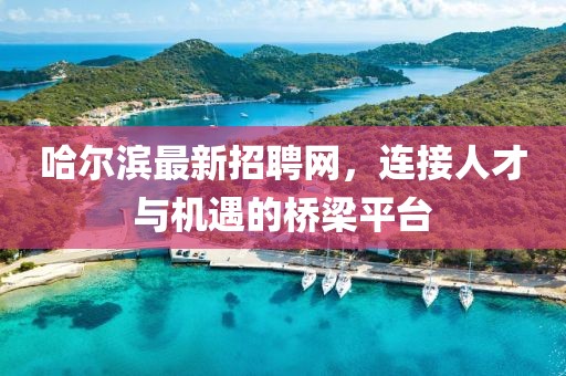 哈尔滨最新招聘网，连接人才与机遇的桥梁平台