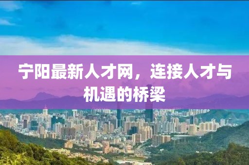 宁阳最新人才网，连接人才与机遇的桥梁