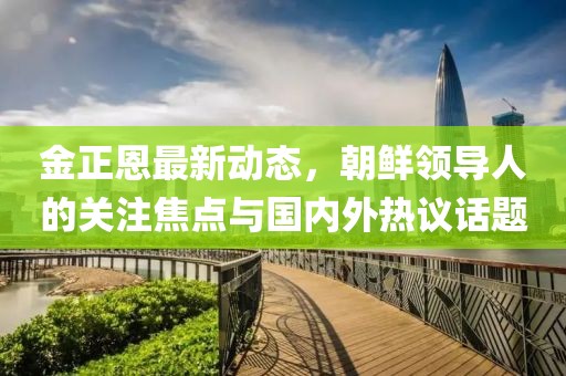 金正恩最新动态，朝鲜领导人的关注焦点与国内外热议话题