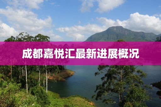 成都嘉悦汇最新进展概况