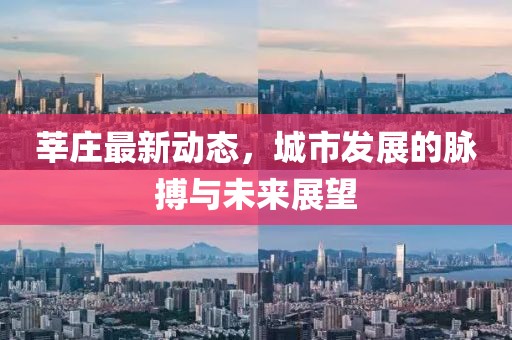 莘庄最新动态，城市发展的脉搏与未来展望