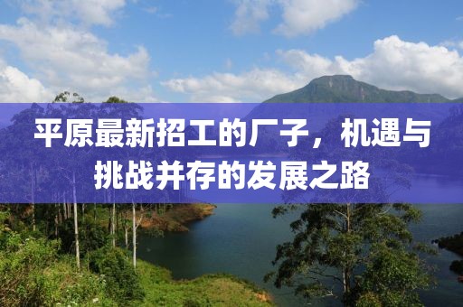 平原最新招工的厂子，机遇与挑战并存的发展之路