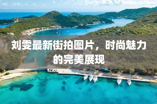 刘雯最新街拍图片，时尚魅力的完美展现