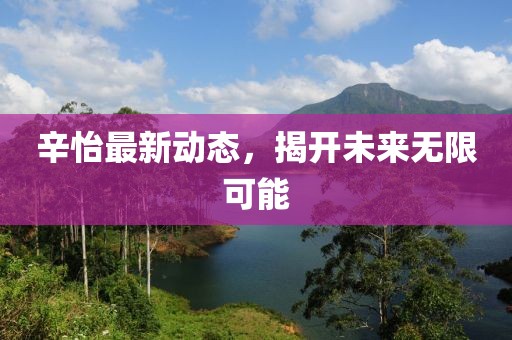 辛怡最新动态，揭开未来无限可能