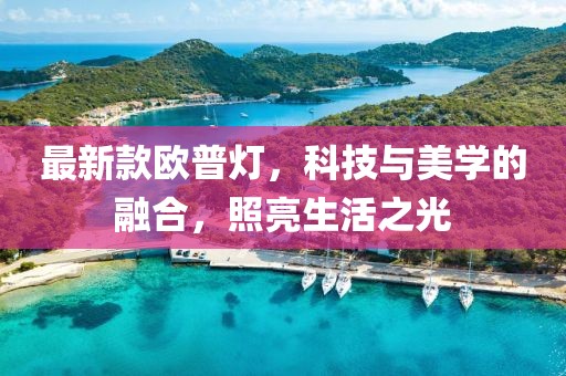 最新款欧普灯，科技与美学的融合，照亮生活之光