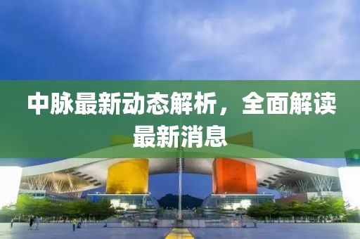 中脉最新动态解析，全面解读最新消息