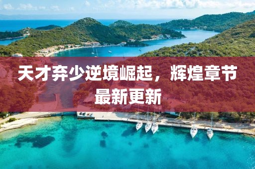 天才弃少逆境崛起，辉煌章节最新更新