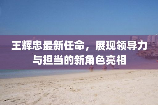 王辉忠最新任命，展现领导力与担当的新角色亮相