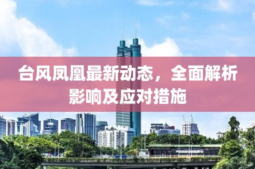 台风凤凰最新动态，全面解析影响及应对措施