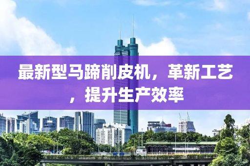 最新型马蹄削皮机，革新工艺，提升生产效率