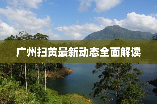 广州扫黄最新动态全面解读
