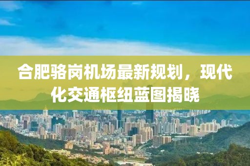 合肥骆岗机场最新规划，现代化交通枢纽蓝图揭晓