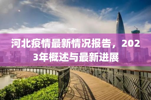 河北疫情最新情况报告，2023年概述与最新进展