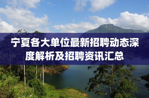 宁夏各大单位最新招聘动态深度解析及招聘资讯汇总