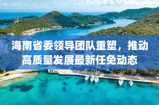 海南省委领导团队重塑，推动高质量发展最新任免动态