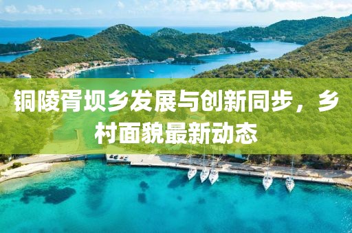 铜陵胥坝乡发展与创新同步，乡村面貌最新动态