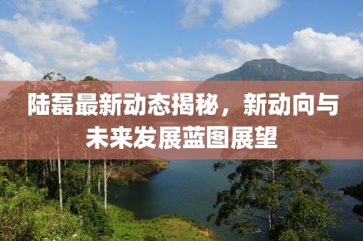 陆磊最新动态揭秘，新动向与未来发展蓝图展望