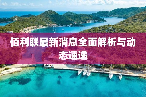 佰利联最新消息全面解析与动态速递