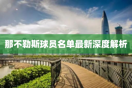 那不勒斯球员名单最新深度解析