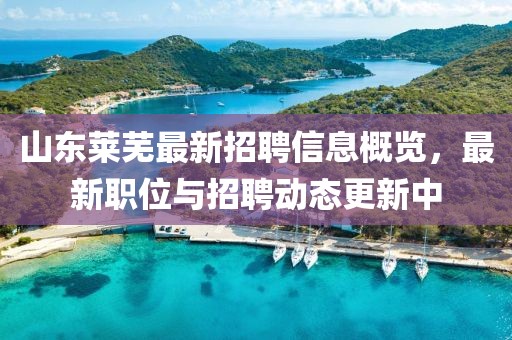 山东莱芜最新招聘信息概览，最新职位与招聘动态更新中