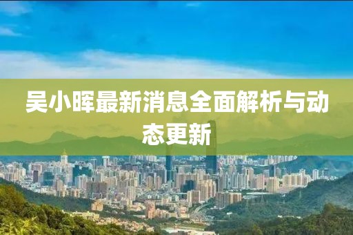 吴小晖最新消息全面解析与动态更新