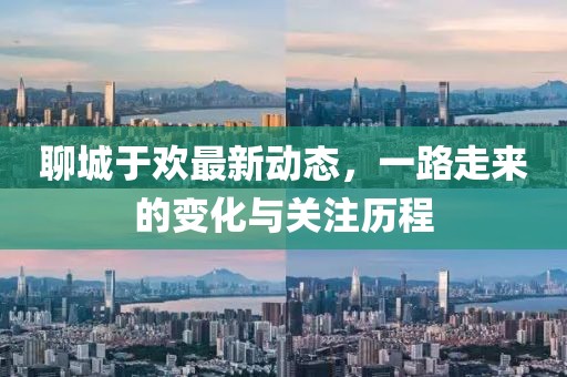 聊城于欢最新动态，一路走来的变化与关注历程