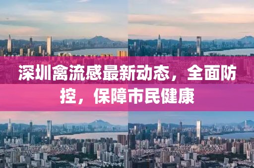 深圳禽流感最新动态，全面防控，保障市民健康