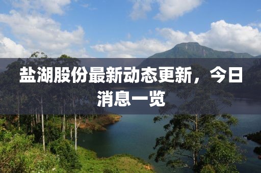 盐湖股份最新动态更新，今日消息一览