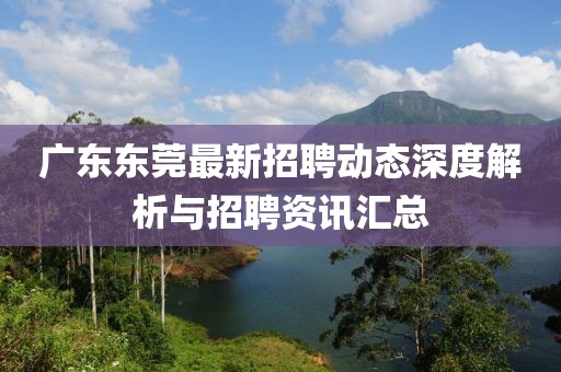 广东东莞最新招聘动态深度解析与招聘资讯汇总