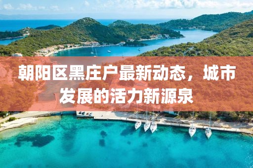 朝阳区黑庄户最新动态，城市发展的活力新源泉