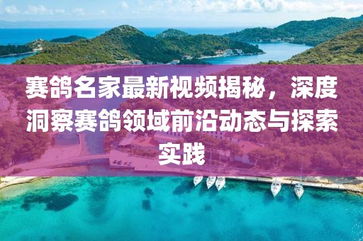 赛鸽名家最新视频揭秘，深度洞察赛鸽领域前沿动态与探索实践