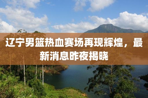 辽宁男篮热血赛场再现辉煌，最新消息昨夜揭晓