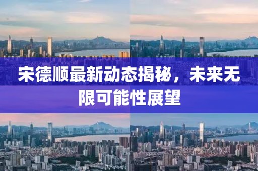 宋德顺最新动态揭秘，未来无限可能性展望