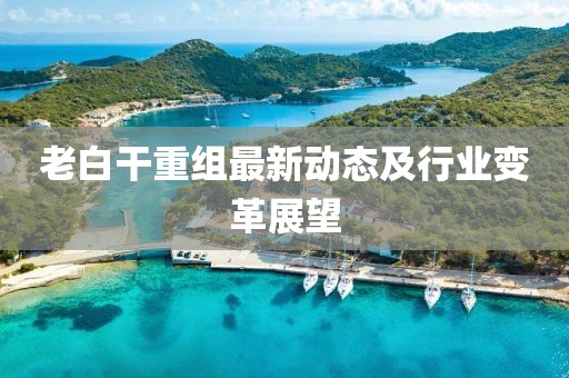老白干重组最新动态及行业变革展望