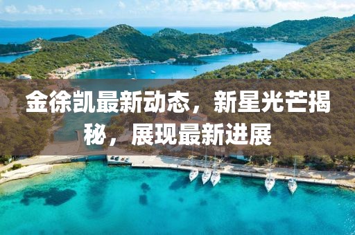 金徐凯最新动态，新星光芒揭秘，展现最新进展