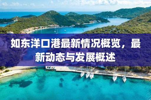 如东洋口港最新情况概览，最新动态与发展概述