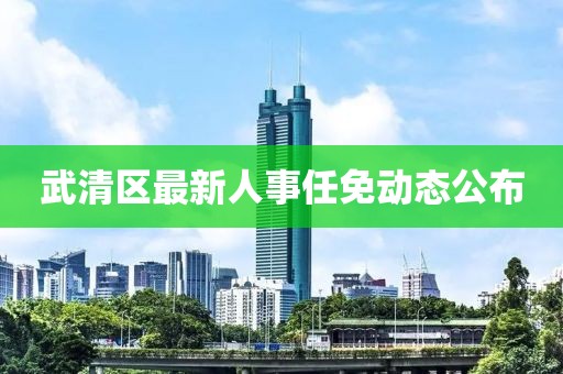 武清区最新人事任免动态公布