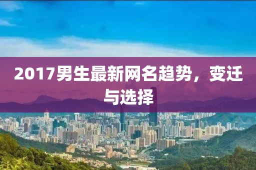 2017男生最新网名趋势，变迁与选择