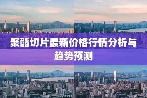 聚酯切片最新价格行情分析与趋势预测