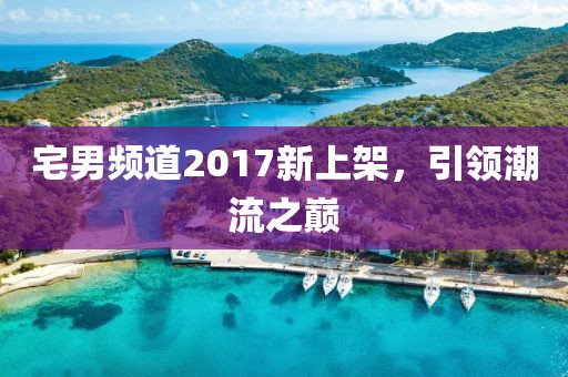 宅男频道2017新上架，引领潮流之巅