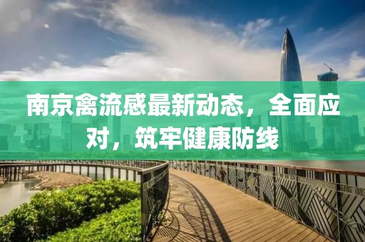 南京禽流感最新动态，全面应对，筑牢健康防线