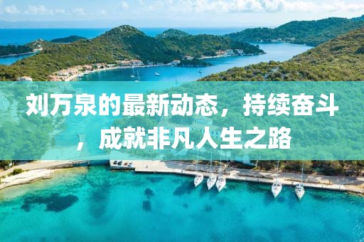 刘万泉的最新动态，持续奋斗，成就非凡人生之路