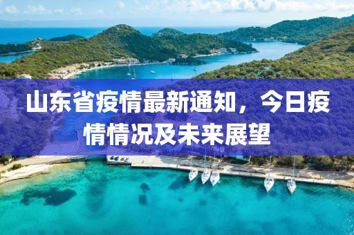 山东省疫情最新通知，今日疫情情况及未来展望