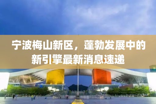 宁波梅山新区，蓬勃发展中的新引擎最新消息速递
