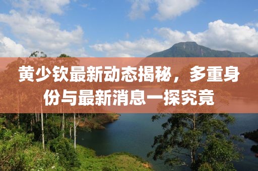 黄少钦最新动态揭秘，多重身份与最新消息一探究竟
