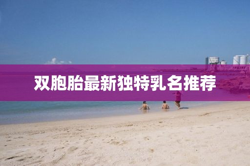 双胞胎最新独特乳名推荐
